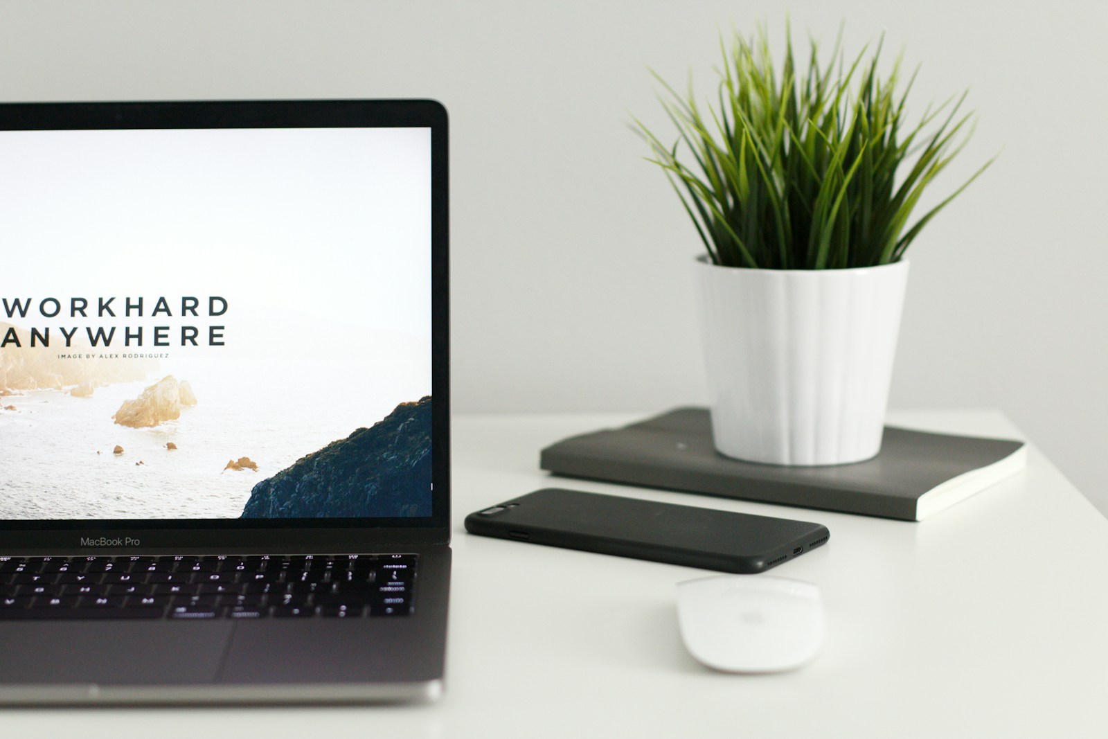 MacBook Pro near green potted plant on table - Shopify store